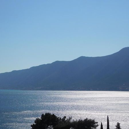 Villa Aronija Kotor Exterior photo