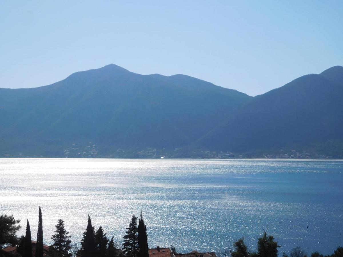 Villa Aronija Kotor Exterior photo