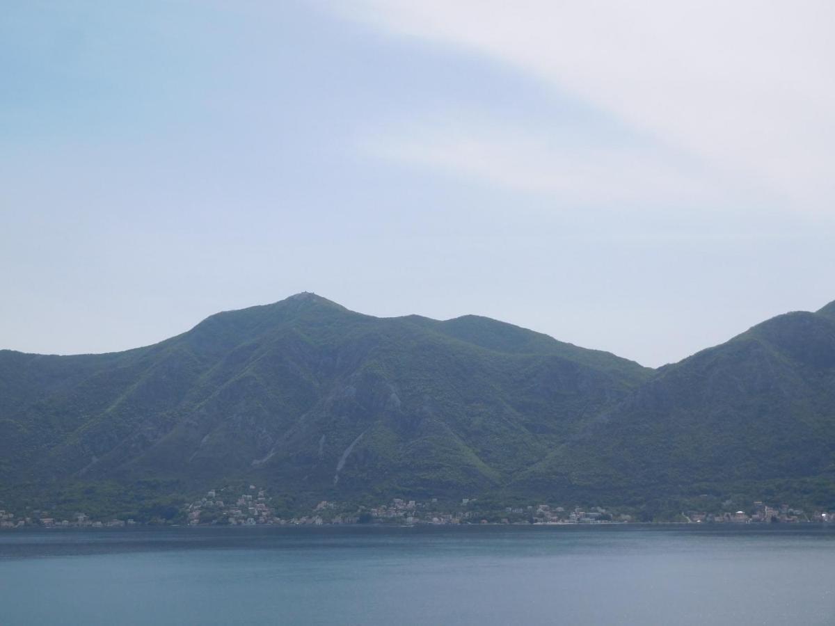 Villa Aronija Kotor Exterior photo
