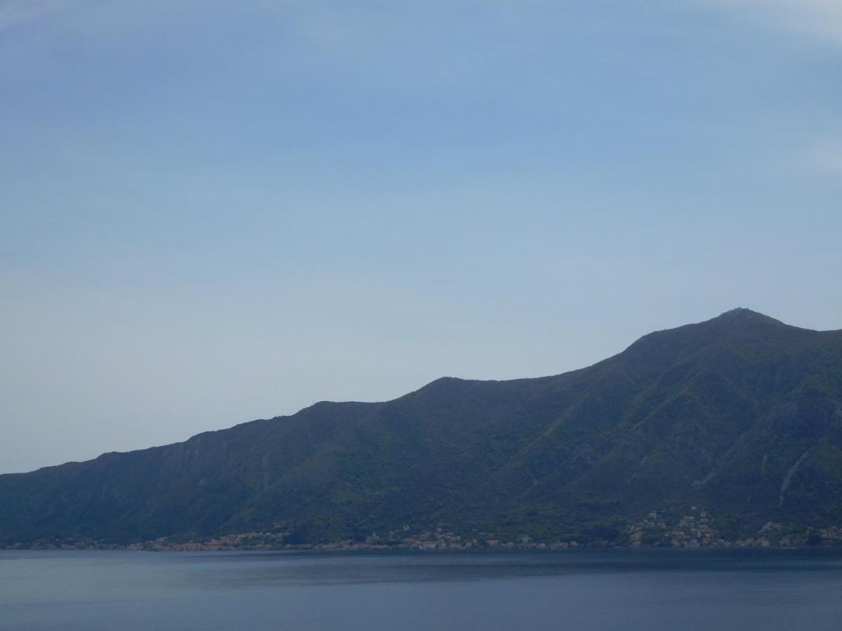 Villa Aronija Kotor Exterior photo
