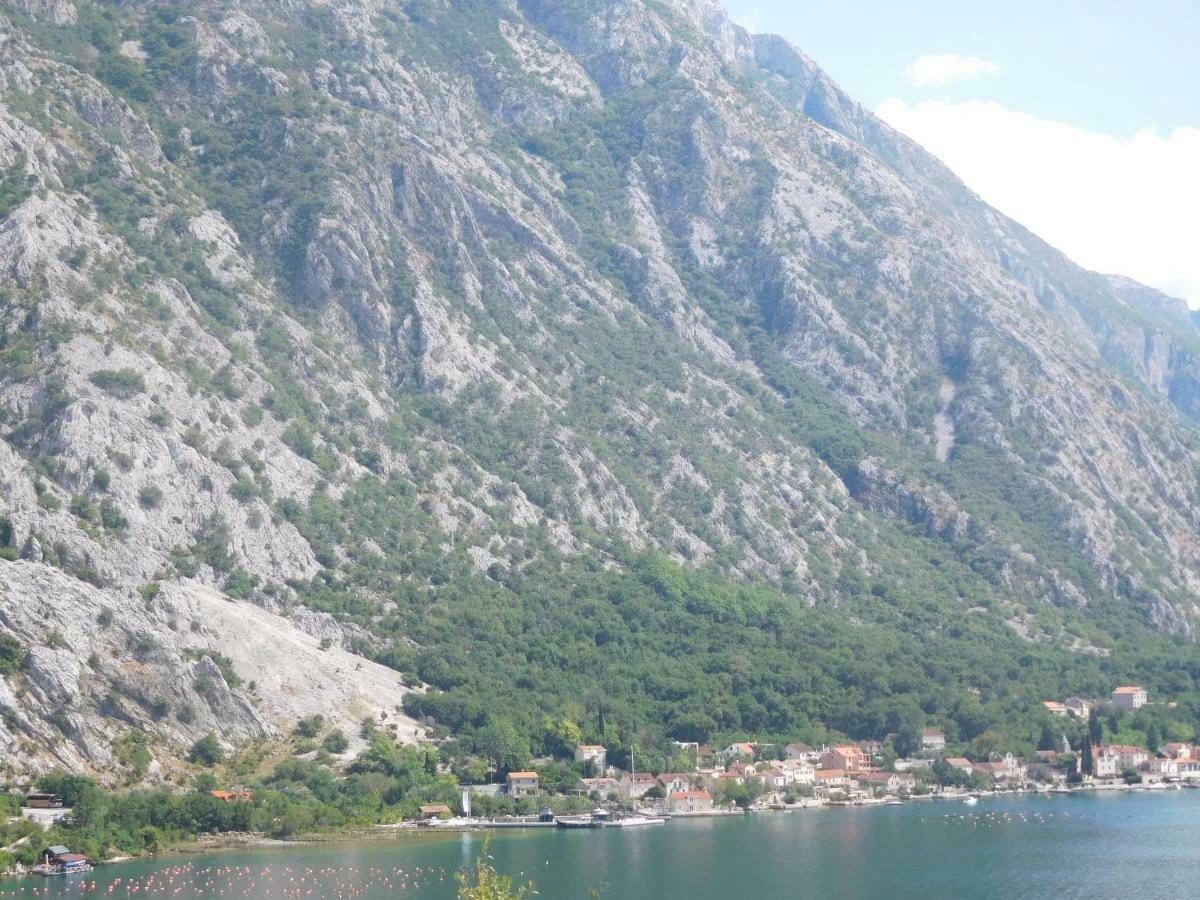 Villa Aronija Kotor Exterior photo