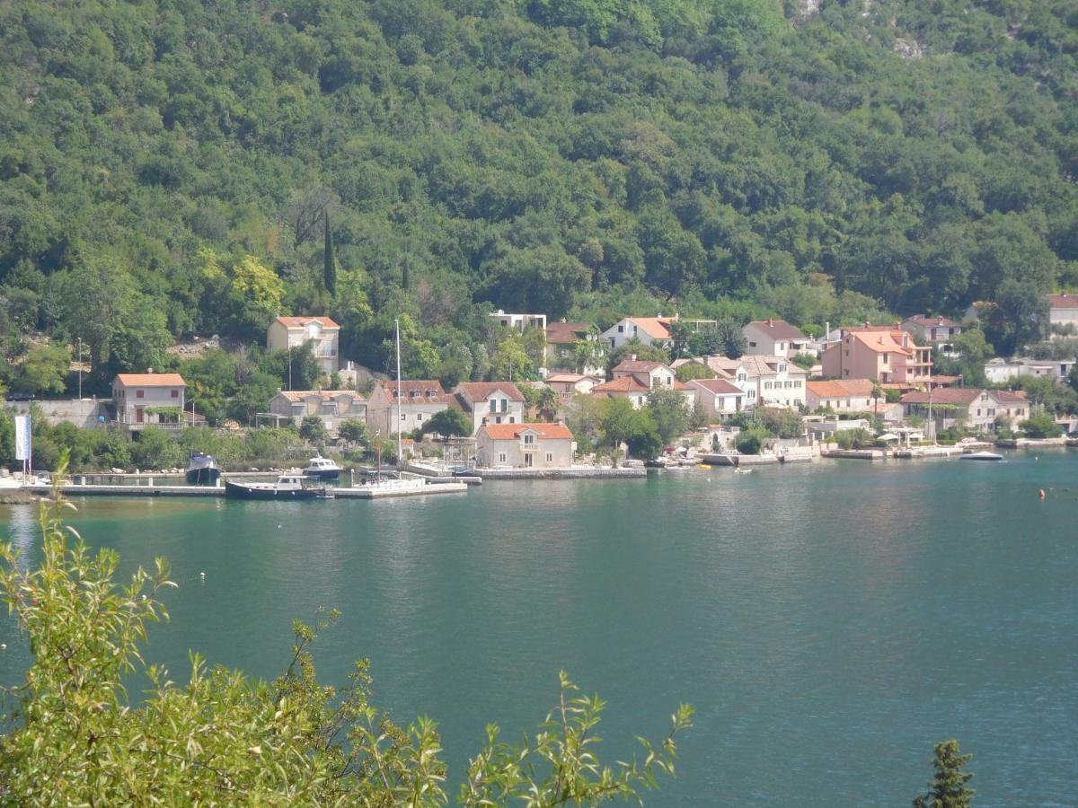 Villa Aronija Kotor Exterior photo