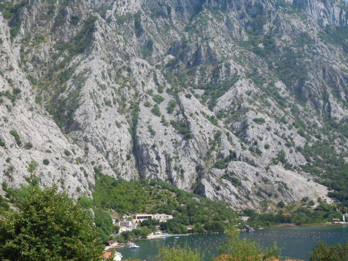 Villa Aronija Kotor Exterior photo