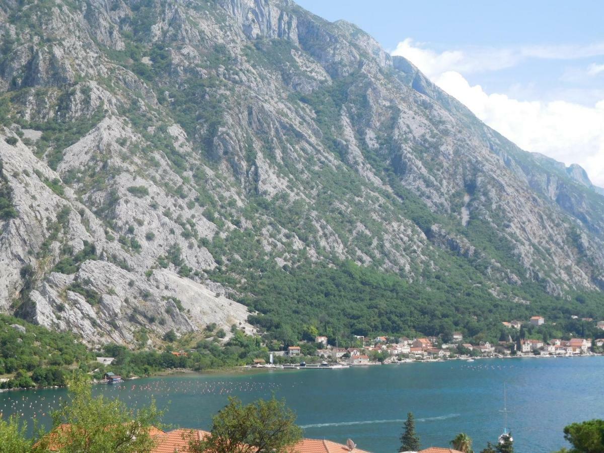 Villa Aronija Kotor Exterior photo