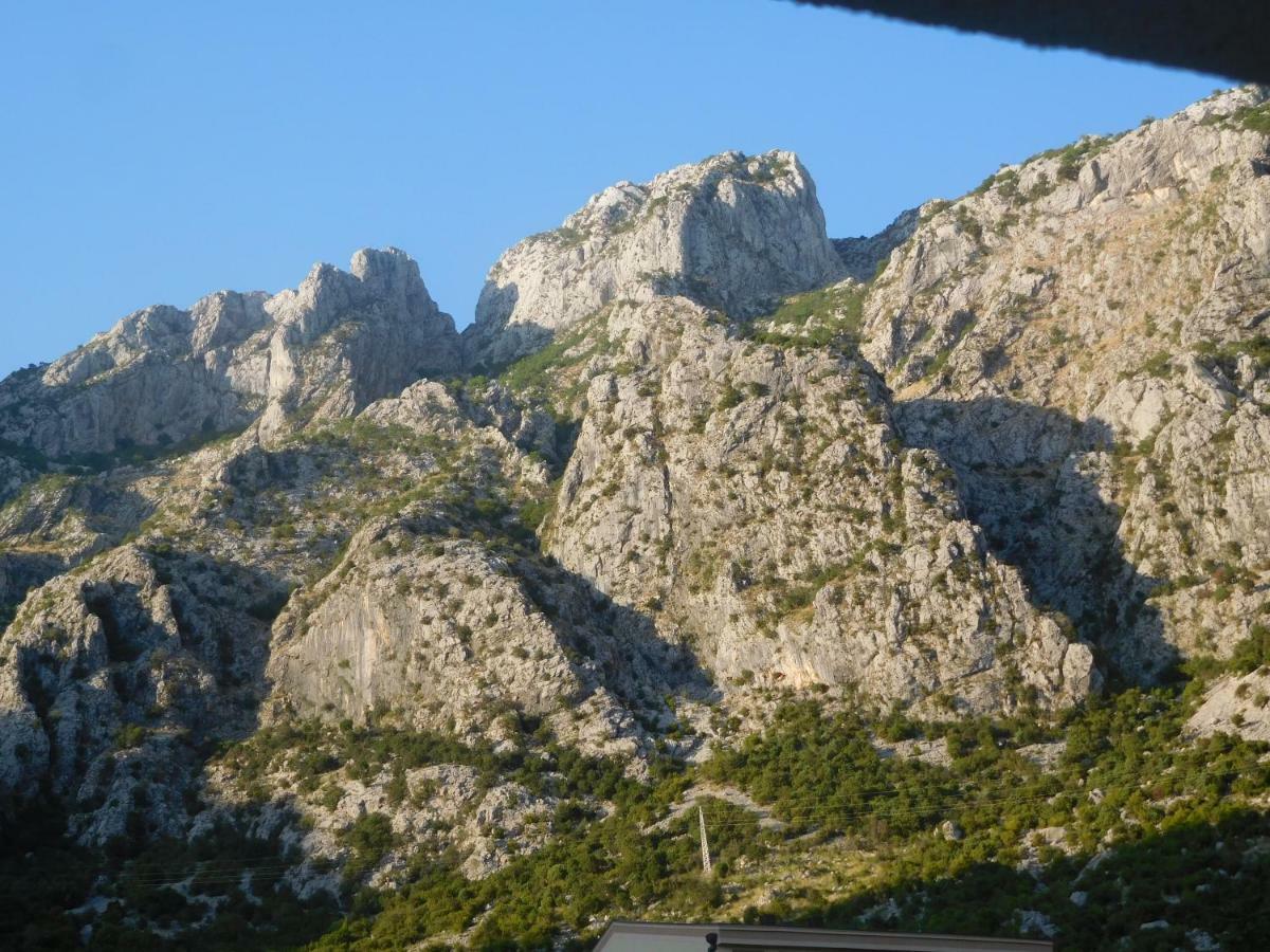 Villa Aronija Kotor Exterior photo